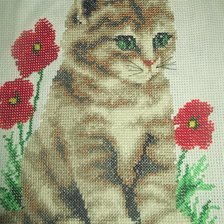 Работа «котейка пока ещё не оформлен крестик плюс бисер»