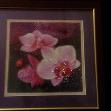 Работа «№51893»