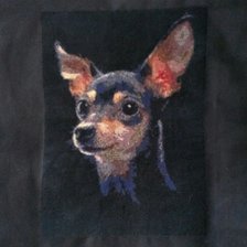 Работа «Той терьер»