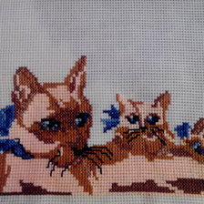 Работа «киски»