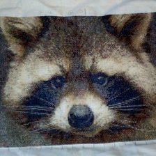 Работа «Енот»