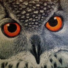 Работа «Сова»