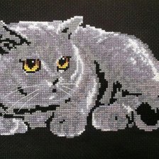 Работа «Британский кот»
