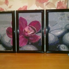 Работа «Орхидея на камнях»