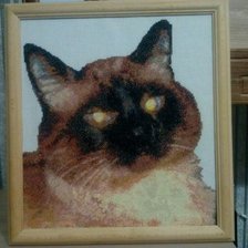 Работа «№55830»