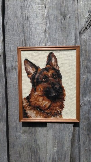 Работа «Овчарка»