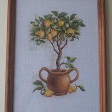 Работа «Лимонное дерево»