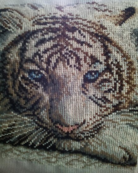 Работа «бенгальский тигр»