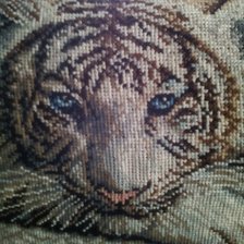 Работа «бенгальский тигр»