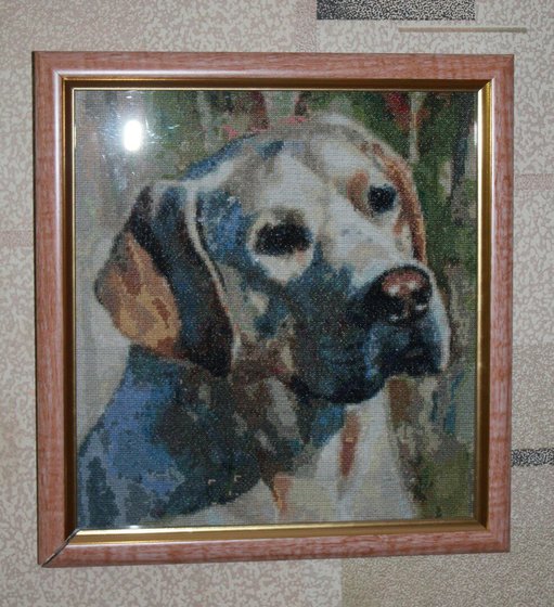 Работа «Лабрадор»