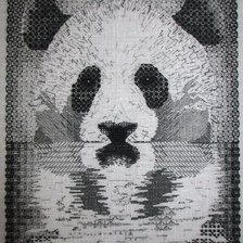 Работа «panda»