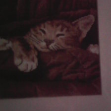 Работа «№58468»