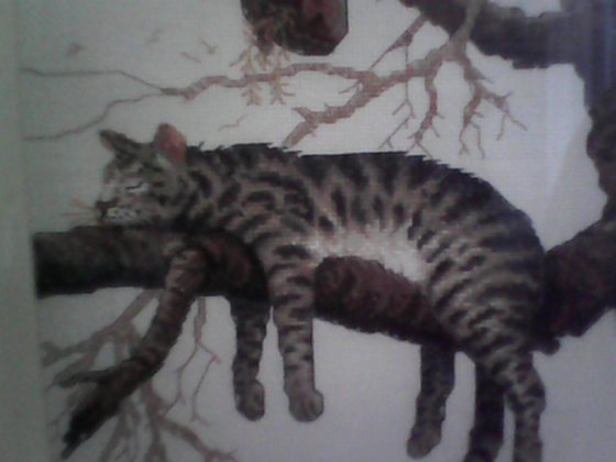 Работа «№58470»