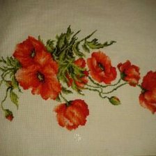 Работа «еще одни маки.»