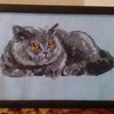 Работа «Британец»