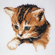 Работа «КОТЁНОК»