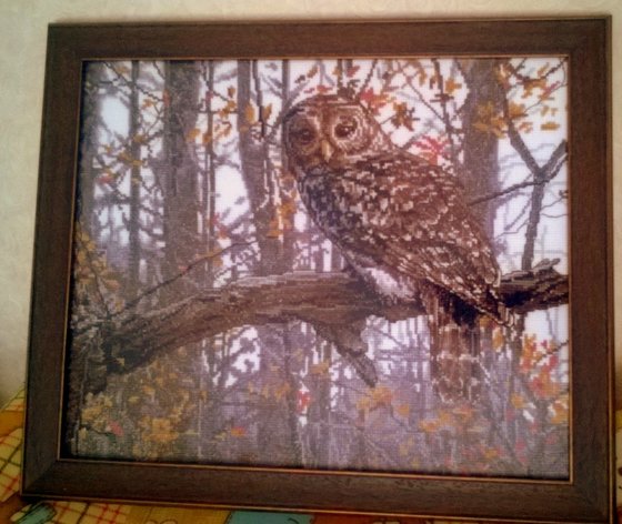 Работа «№59399»