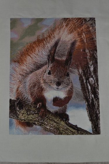 Работа «Лесная жительница»