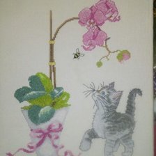 Работа «Orquídeas y gatito»
