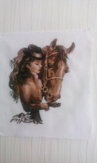 Работа «Амазонка1»