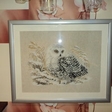 Работа «Сова»