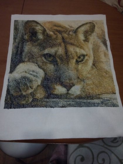 Работа «А вот такая изнанка у нее)»