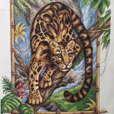 Работа «Дымчатый леопард»