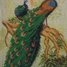 Работа «павлины»