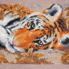 Работа «ТИГР»