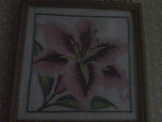 Работа «№63512»