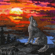 Работа «Одинокий волк.»