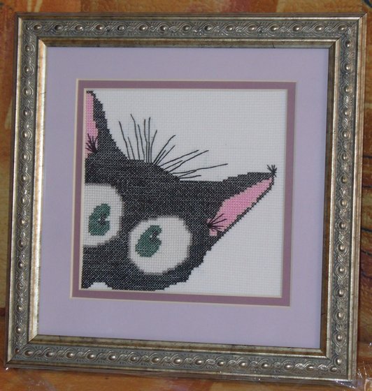 Работа «Котик»