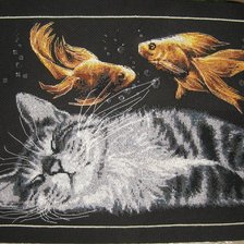 Работа «сладкий сон кота»