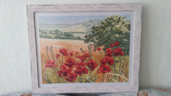 Работа «Маковые дали»