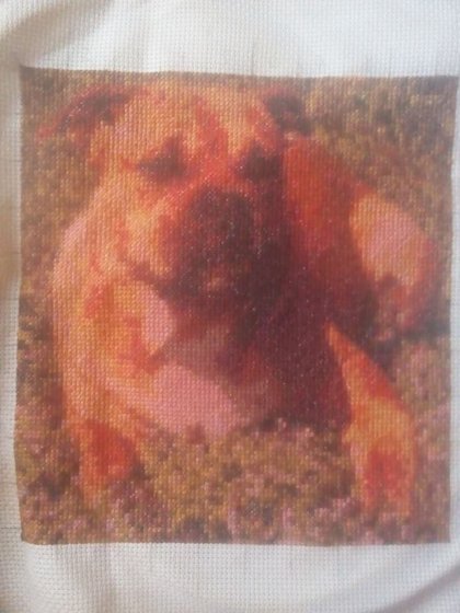 Работа «Ка Де Бо Чейси»