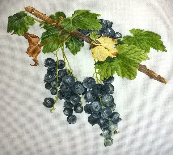 Работа «Красная смородина от Овен в черном цвете»