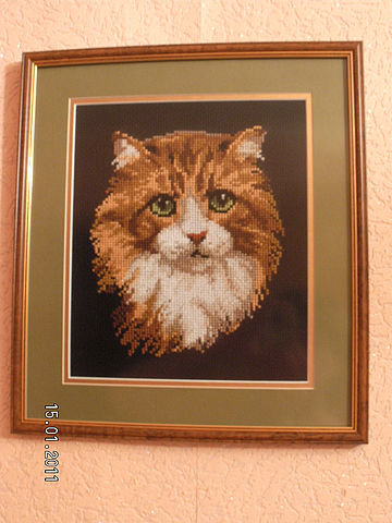 Работа «Котик»