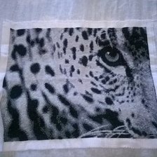 Работа «Взгляд леопарда»