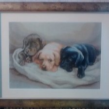 Работа «Три щенка. Вышивка крестом»