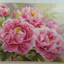 Работа «Пионы от фирмы Алиса»