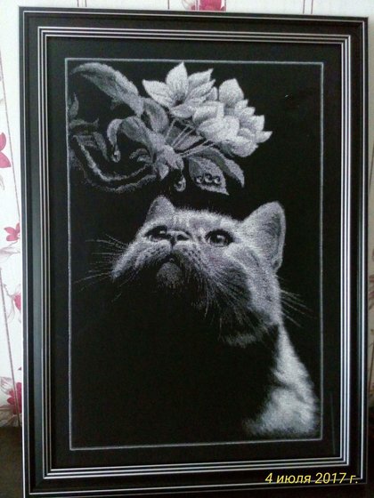 Работа «кот с магнолией»