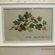 Работа «Крыжовник»