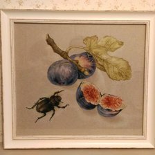 Работа «Инжир с жуком»