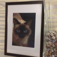 Работа «Моя кошечка»