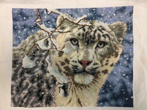 Работа «Снежный барс»