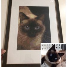 Работа «Мой комочек счастья»