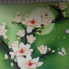 Работа «№66732»