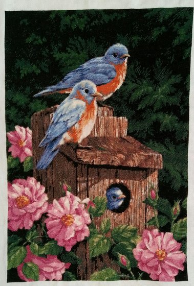 Работа «ЛЮБИМЫЕ ПТИЧКИ»