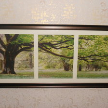 Работа «Триптих ДЕРЕВО»