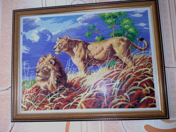 Работа «№67354»